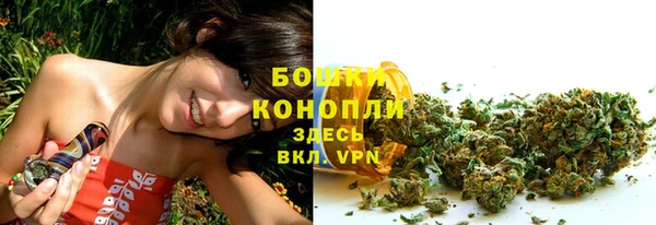 PSILOCYBIN Алексин