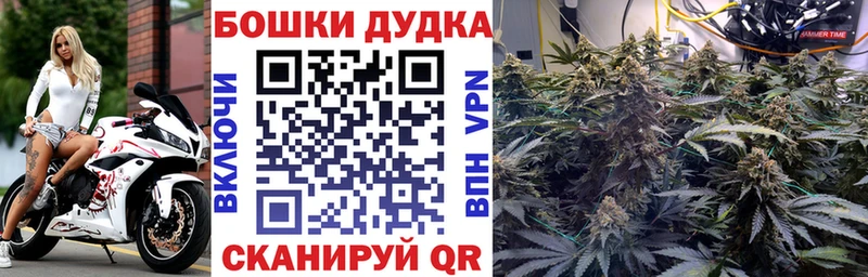 Бошки Шишки AK-47  где продают   hydra ССЫЛКА  Буй 